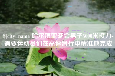 赣州哈尔滨亚冬会男子5000米接力-需要运动员们在高速滑行中精准地完成