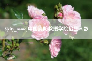 赣州中国消防救援学院招生人数