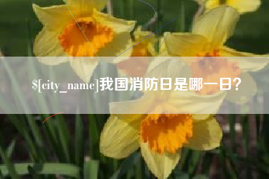 赣州我国消防日是哪一日？