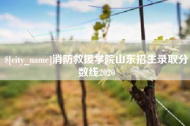赣州消防救援学院山东招生录取分数线2020