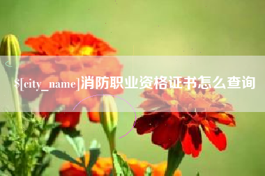 赣州消防职业资格证书怎么查询