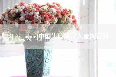 赣州中国失信执行人查询官网