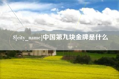 赣州中国第九块金牌是什么