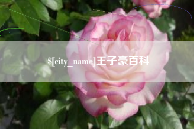 赣州王子豪百科