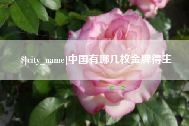 赣州中国有哪几枚金牌得主