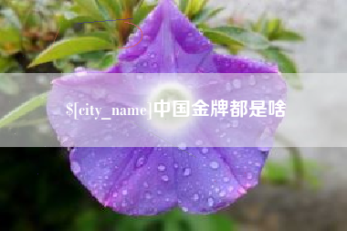 赣州中国金牌都是啥