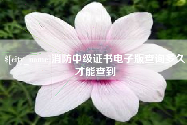 赣州消防中级证书电子版查询多久才能查到