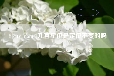 赣州九宫星位是定位不变的吗