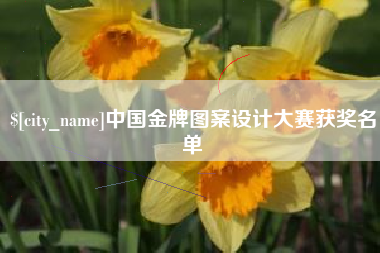 赣州中国金牌图案设计大赛获奖名单