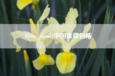 赣州中国金牌包括