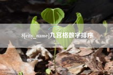 赣州九宫格数字排序