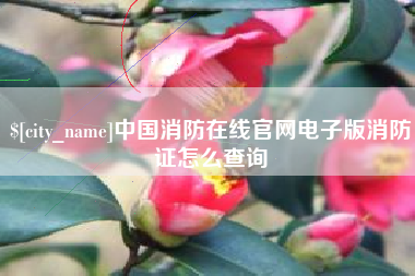 赣州中国消防在线官网电子版消防证怎么查询