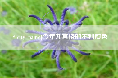 赣州今年九宫格的不利颜色