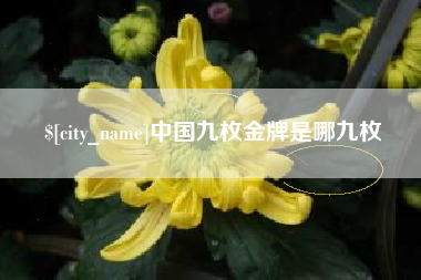 赣州中国九枚金牌是哪九枚