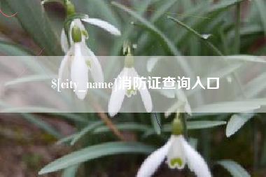 赣州消防证查询入口