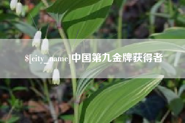 赣州中国第九金牌获得者