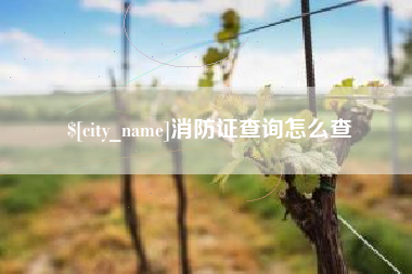 赣州消防证查询怎么查