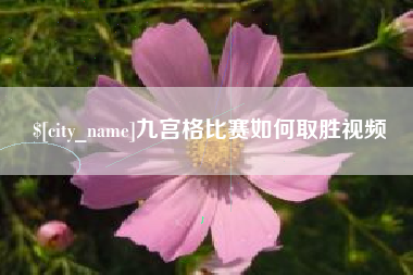 赣州九宫格比赛如何取胜视频