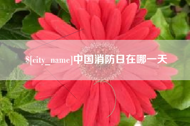 赣州中国消防日在哪一天