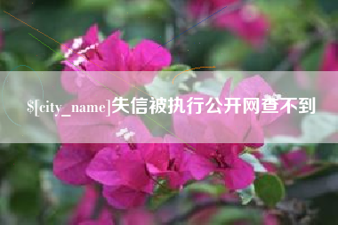 赣州失信被执行公开网查不到