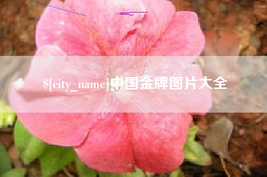 赣州中国金牌图片大全