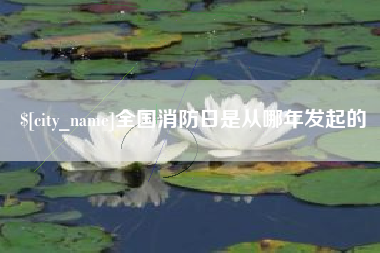 赣州全国消防日是从哪年发起的