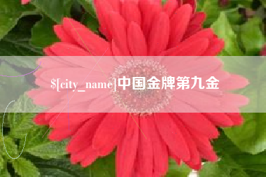 赣州中国金牌第九金