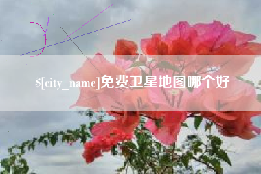 赣州免费卫星地图哪个好