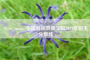 赣州中国消防救援学院2024年招生分数线
