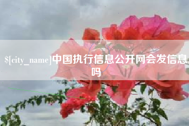 赣州中国执行信息公开网会发信息吗