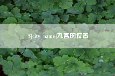 赣州九宫的位置