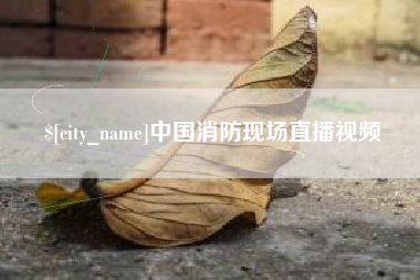 赣州中国消防现场直播视频