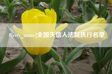 赣州全国失信人法院执行名单