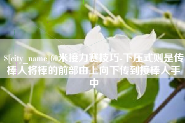 赣州60米接力赛技巧-下压式则是传棒人将棒的前部由上向下传到接棒人手中