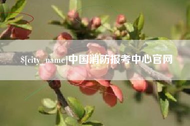 赣州中国消防报考中心官网