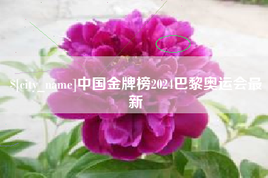 赣州中国金牌榜2024巴黎奥运会最新