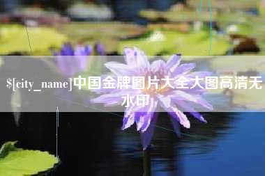 赣州中国金牌图片大全大图高清无水印