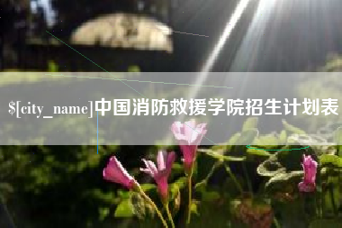 赣州中国消防救援学院招生计划表