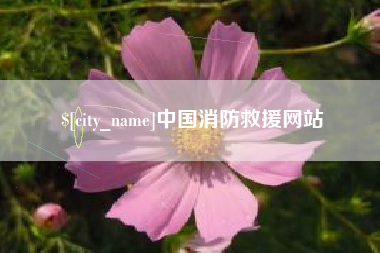 赣州中国消防救援网站