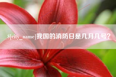 赣州我国的消防日是几月几号？