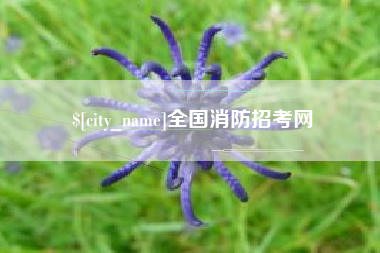 赣州全国消防招考网