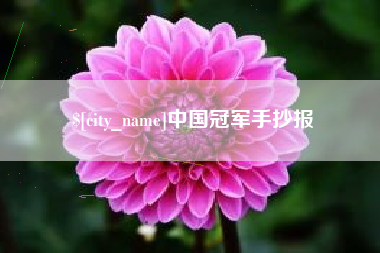 赣州中国冠军手抄报