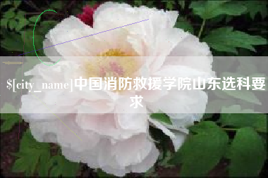 赣州中国消防救援学院山东选科要求