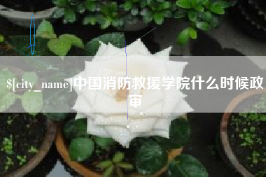 赣州中国消防救援学院什么时候政审