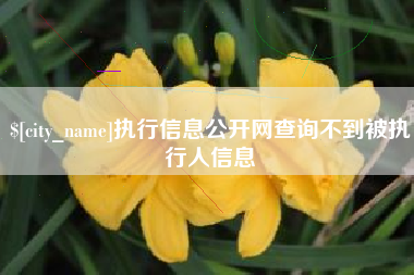 赣州执行信息公开网查询不到被执行人信息