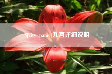 赣州九宫详细说明