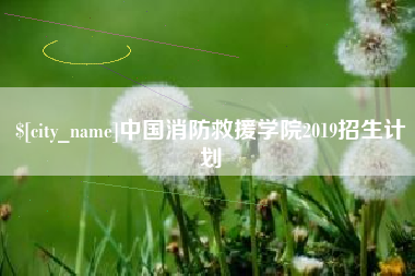 赣州中国消防救援学院2019招生计划