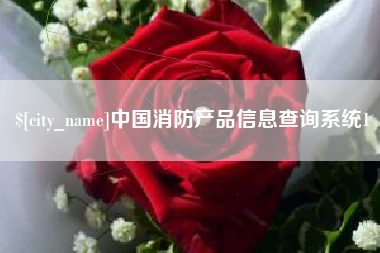 赣州中国消防产品信息查询系统1
