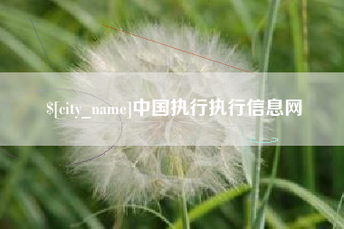 赣州中国执行执行信息网