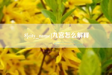 赣州九宫怎么解释